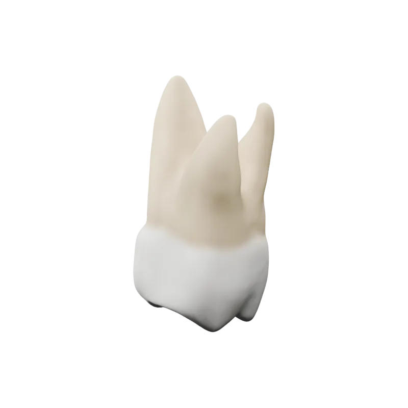 Интерактивен дентален 3D модел